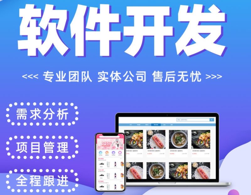 定制软件外包
